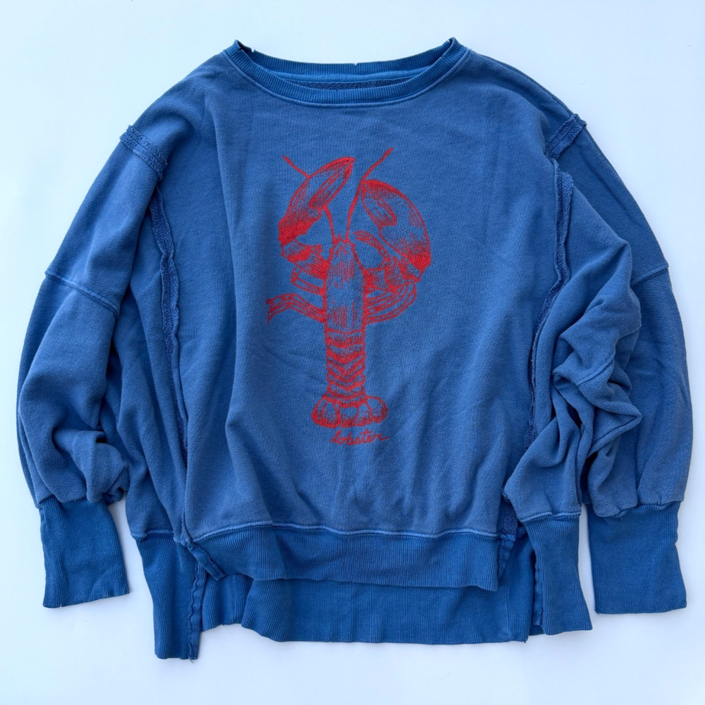 Free People We The Free Lobster Camden Pullover Women's Size S Blue Sweatshirt